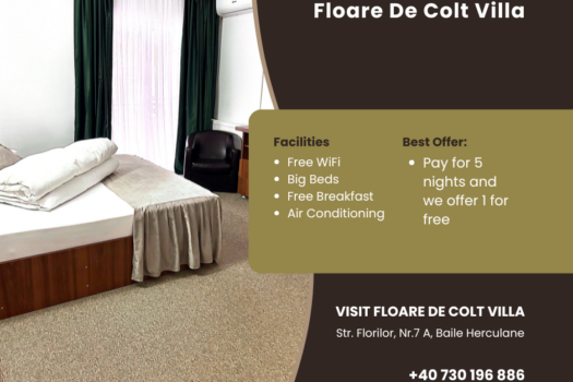 Brand New Stylish House